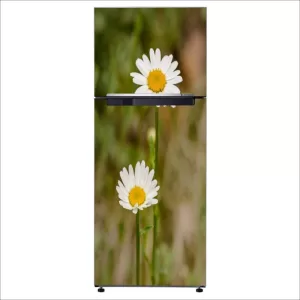 YS 60 cm Decorative Beautiful white chamomile flower fridge sticker CFD0684 Self Adhesive Sticker  (Pack of 1)