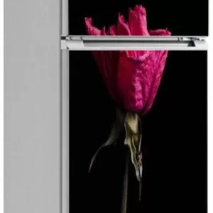 YS 60 cm fridge sticker Removable Sticker  (Pack of 1)
