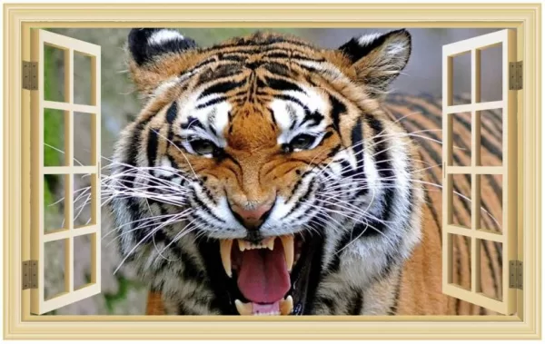 Yadav Stickers Animals Multicolor Wallpaper  (90 cm x 60 cm)